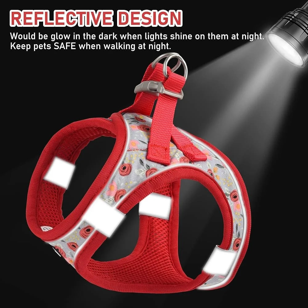 Adjustable Small Harness Collar And Leash Set