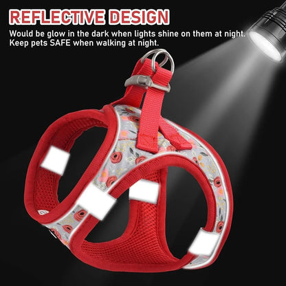 Adjustable Small Harness Collar And Leash Set