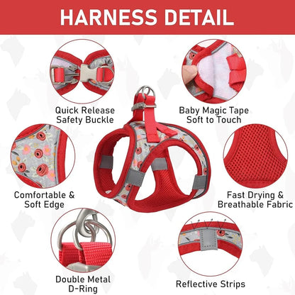 Adjustable Small Harness Collar And Leash Set