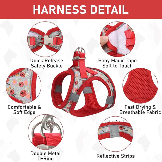 Adjustable Small Harness Collar And Leash Set