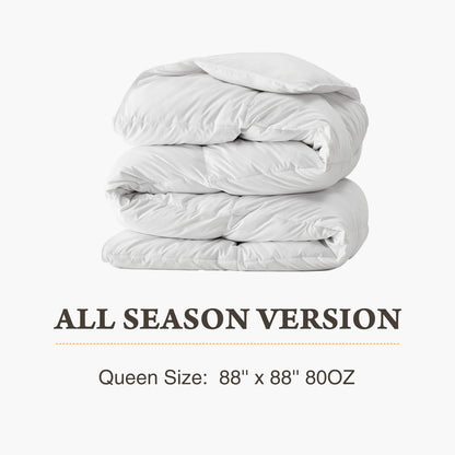Comforter All Season with Corner Tabs Box Stitched Easy Washing ﻿
