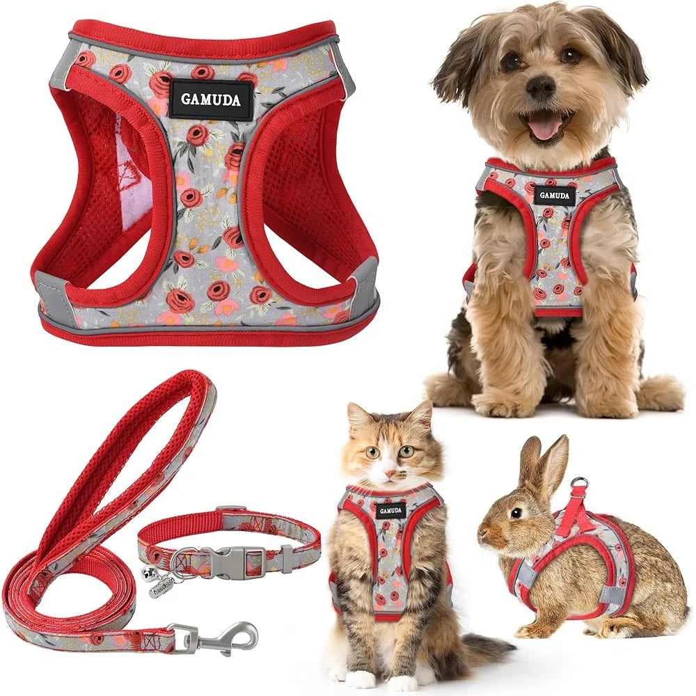 Adjustable Small Harness Collar And Leash Set
