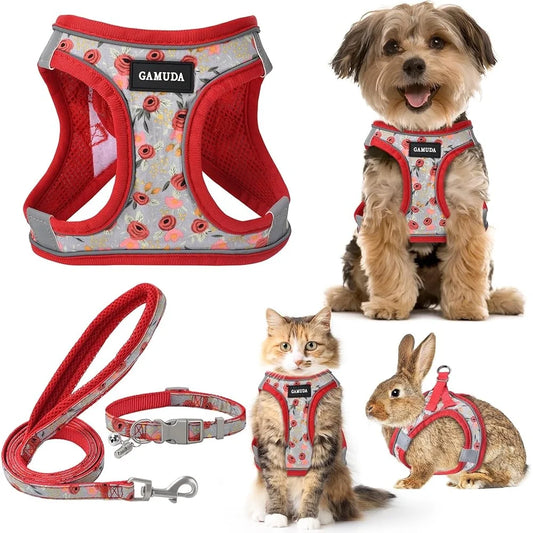 Adjustable Small Harness Collar And Leash Set