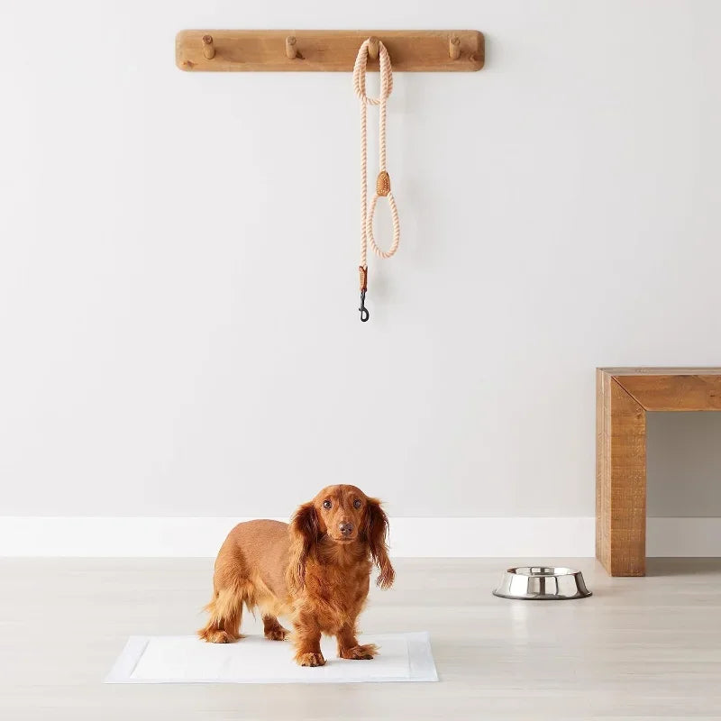 Dog and Puppy Pee Pads, 5-Layer Leak-Proof Super Absorbent